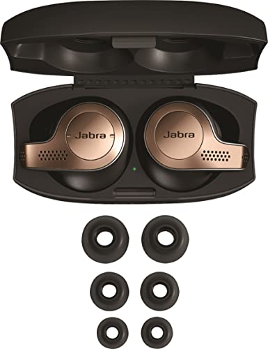 True Wireless Earbuds with Charging Case, Copper Black V5605