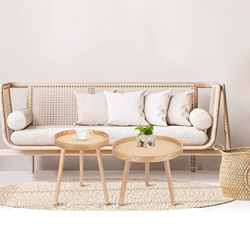 Natural Boho Rattan Coffee Table Set of 2 H7950
