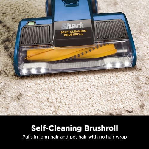 Corded Stick Vacuum with XL Dust Cup, Lightweight, Converts to Hand Vacuum Y17083