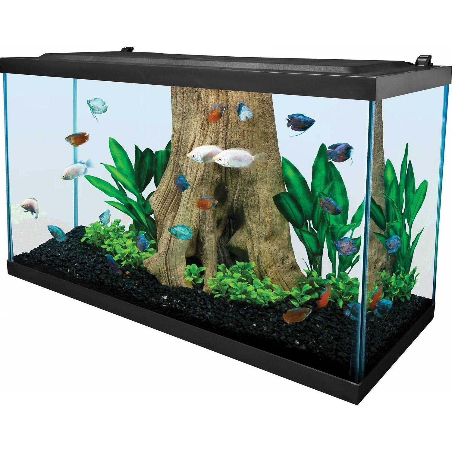 29 Gallons Glass Aquarium J3385