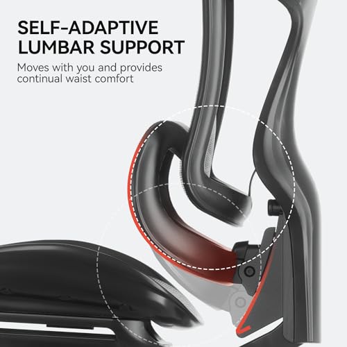Ergonomic Office Chair with 3D Armrests, Adjustable Backrest, Grey E798
