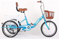 20 Inch Single Speed 3 Wheel Adult Tricycle with Shopping Basket P76982