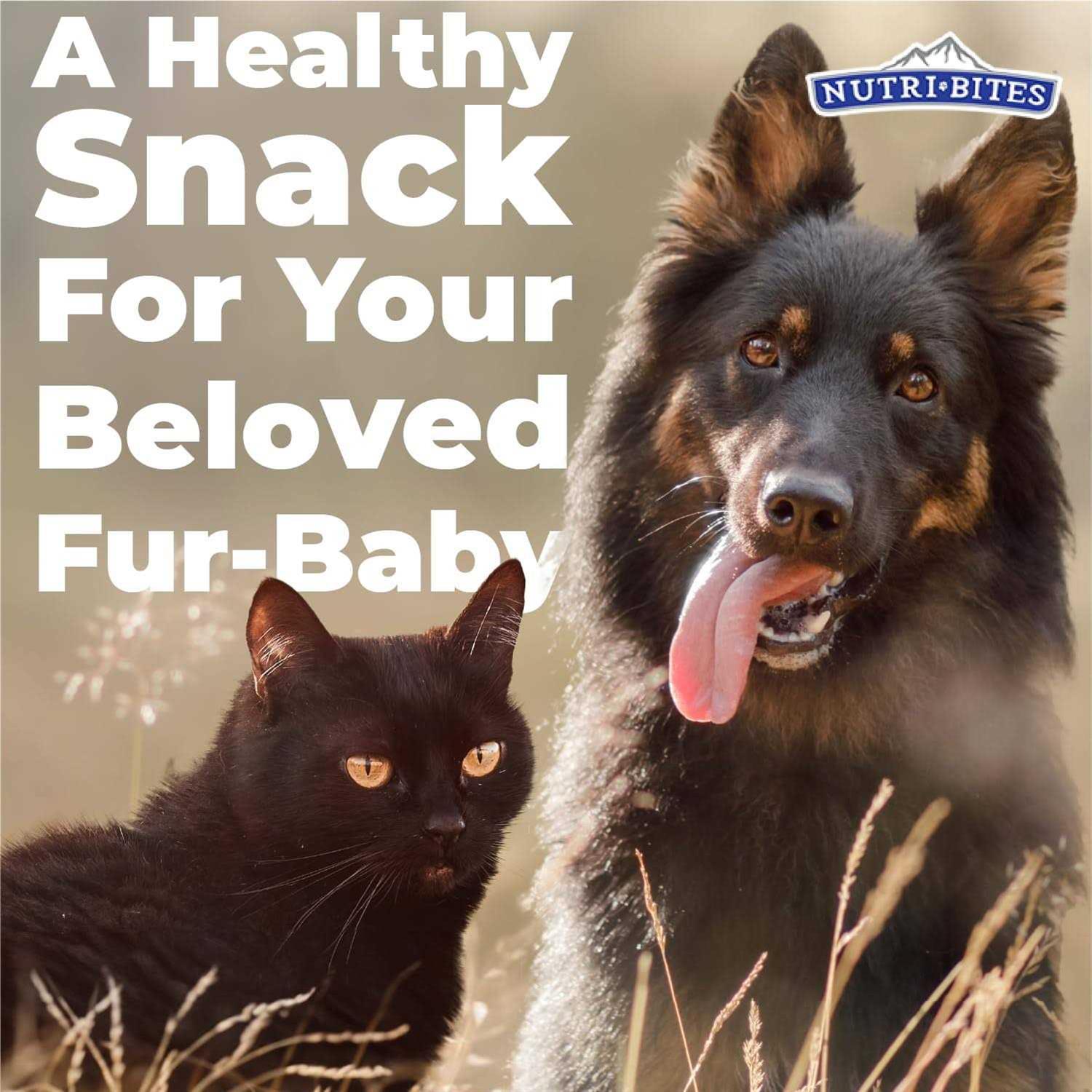 Freeze Dried Beef Liver Dog & Cat Treats Q2001