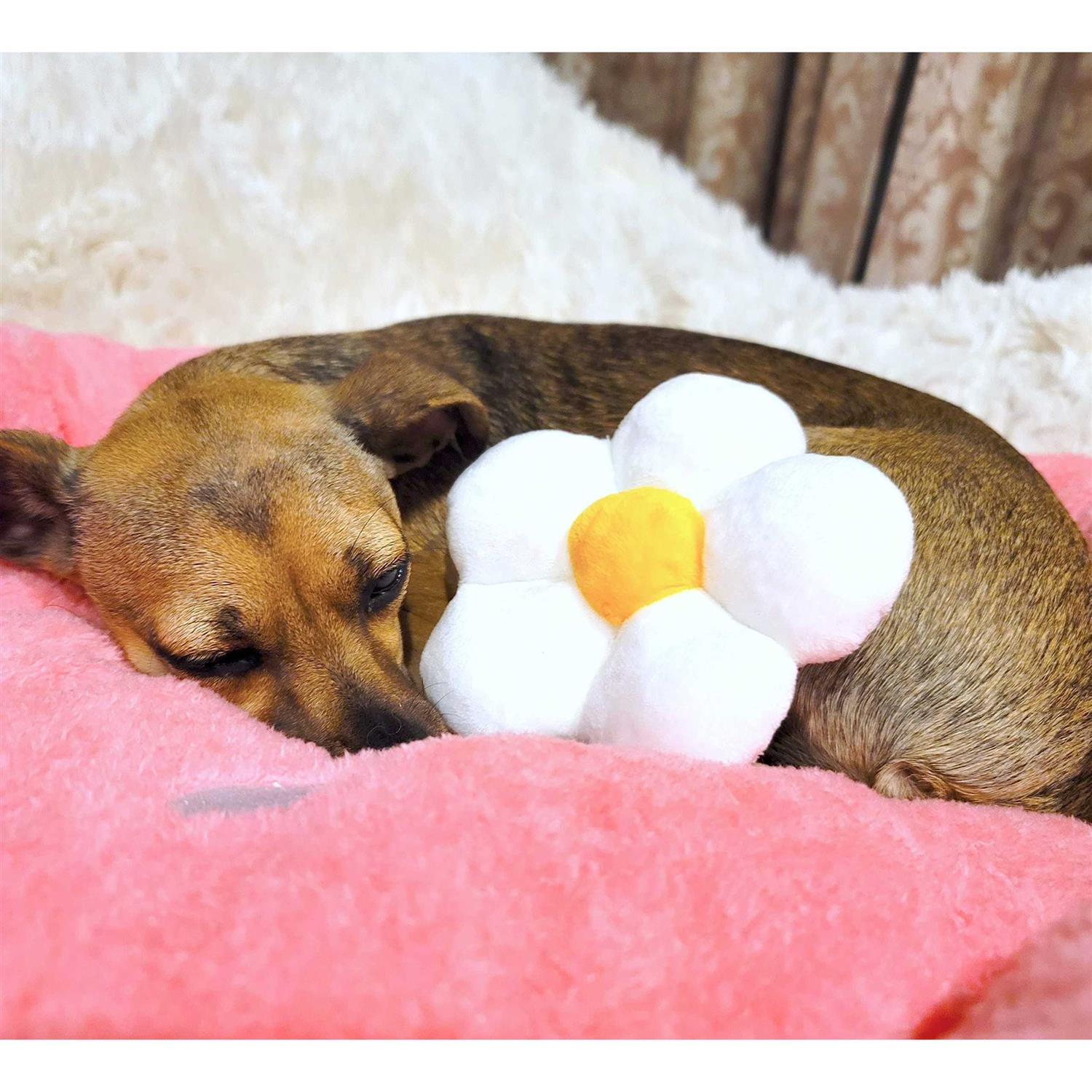 Soft Plush Small Dog Cat Bed Q9020