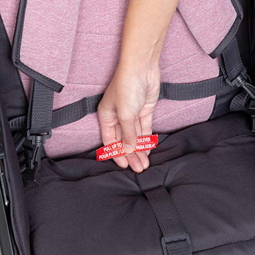 Tango Travel System Stroller with Bassinet and Playard P3415