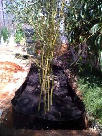 50 Feet Long x 24 inch x 60 Mil Bamboo Root Barrier O67604