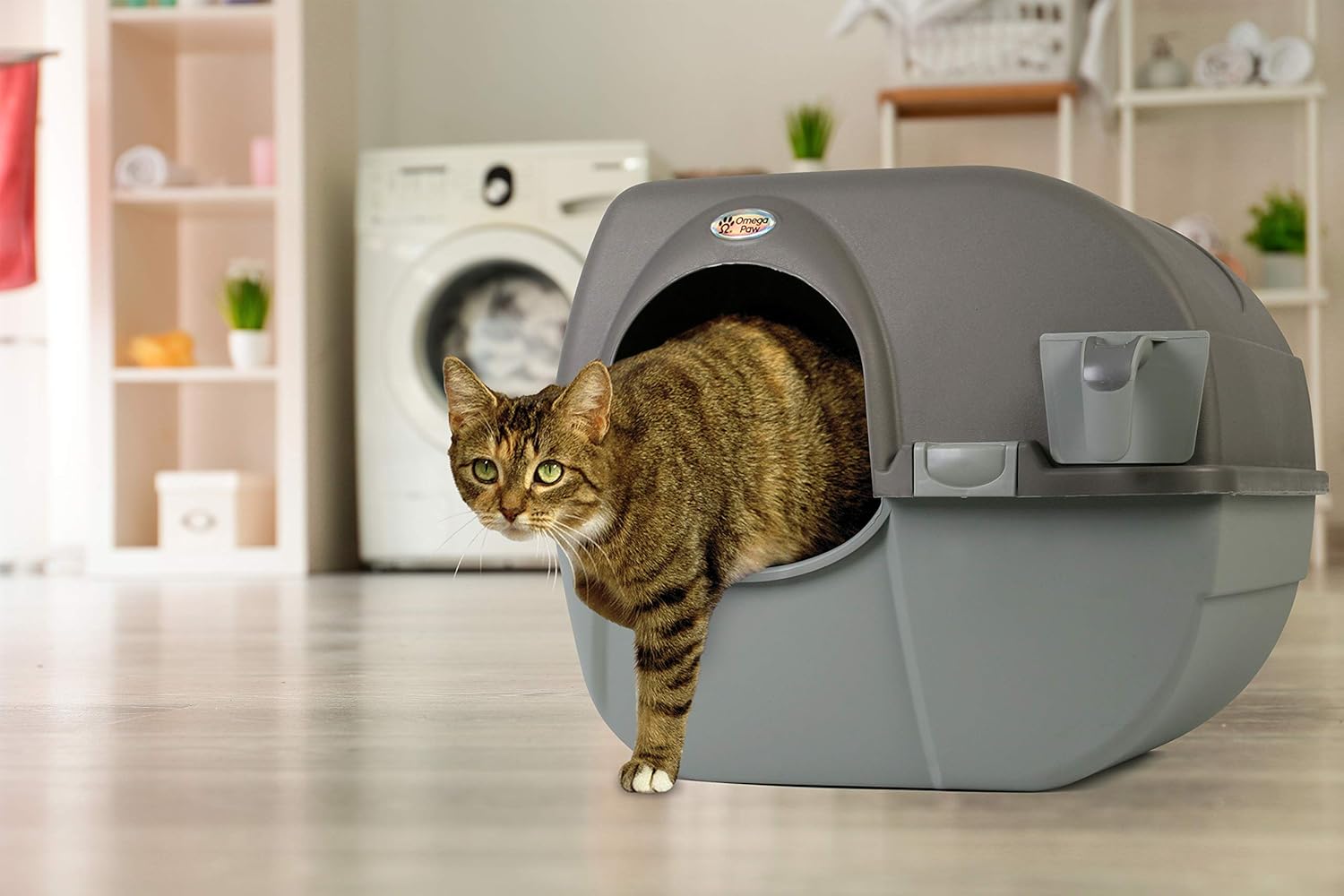 Self-Cleaning Litter Box, Regular, Taupe A66392