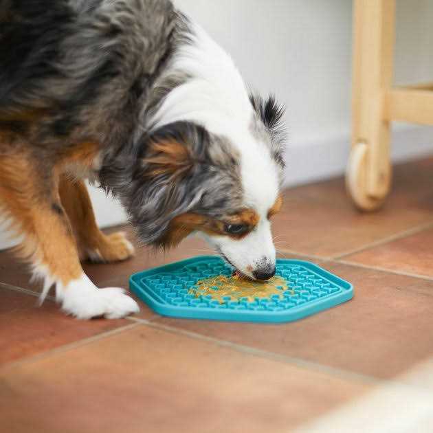 Silicone Treat Lick Mat O107531