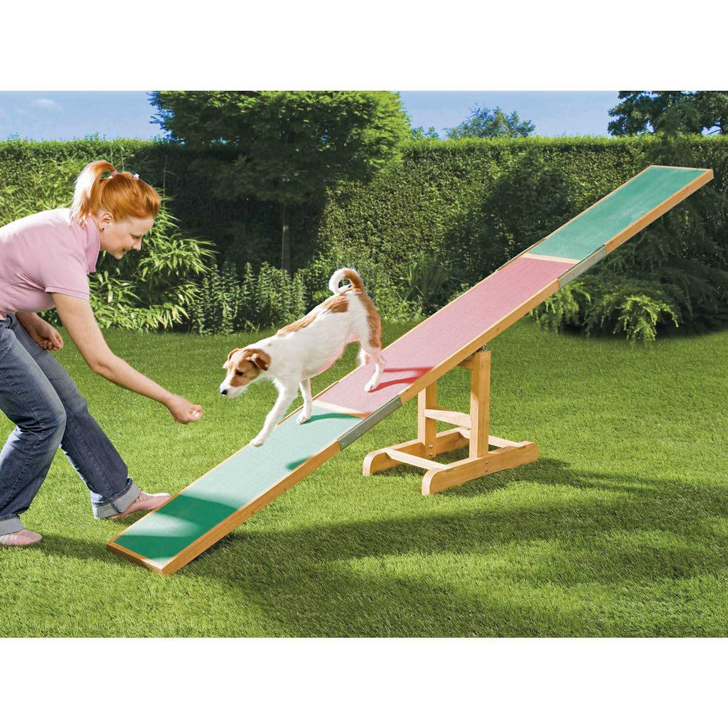 Agility Dog Training Seesaw V1274