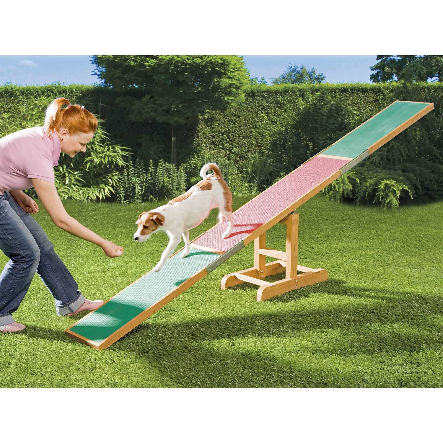 Agility Dog Training Seesaw V1274
