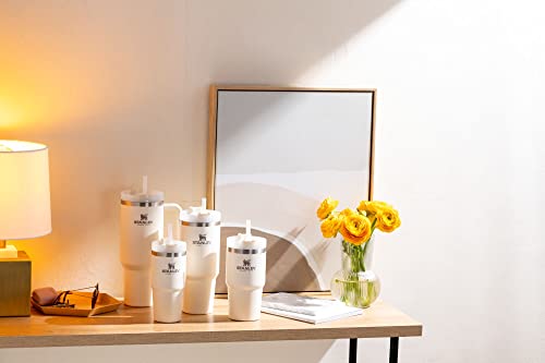 Stainless Steel Vacuum Insulated Tumbler with Lid and Straw O4437