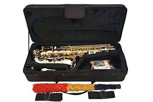Silver Alto Saxophone with 11 Reeds and Case B565