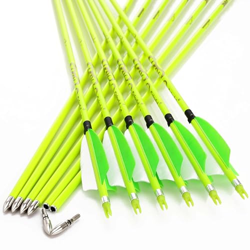 12 pcs Carbon Feather Arrows Spine 300 340 400 500 600 700 800 L385548