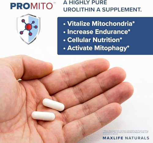500mg Pure Urolithin A Supplement, 28 Capsules R893028
