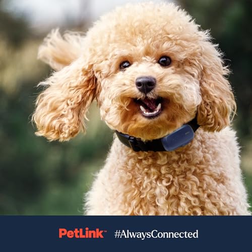Waterproof Dog GPS Tracker with Virtual Fence A1886