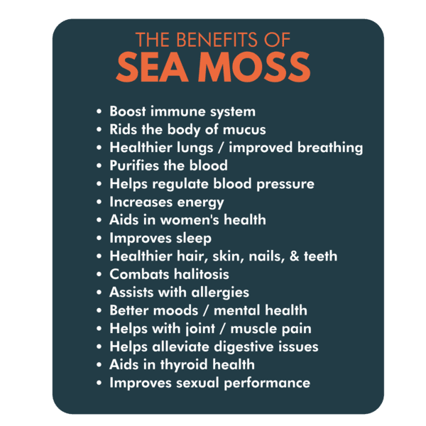 Organic Wildcrafted Irish Sea Moss Vegan Capsules Z65152