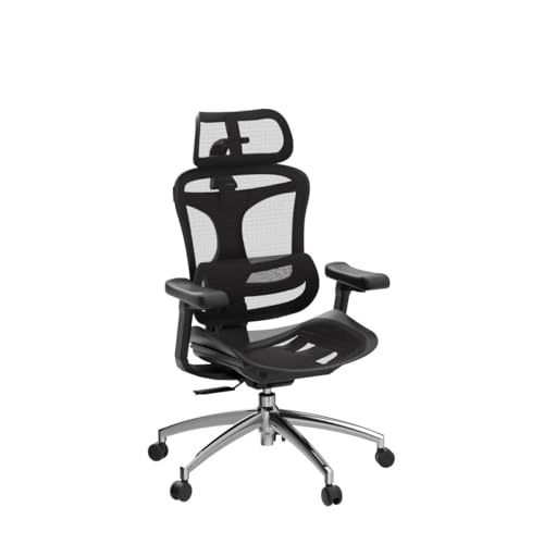 Ergonomic Office Chair with 3D Armrests, Adjustable Backrest, Grey E798