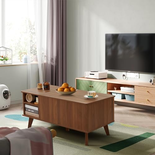 Walnut Wood Coffee Table with Storage Shelf F3329