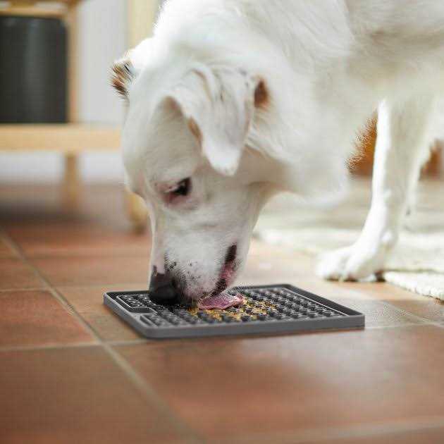 Silicone Treat Lick Mat O107531