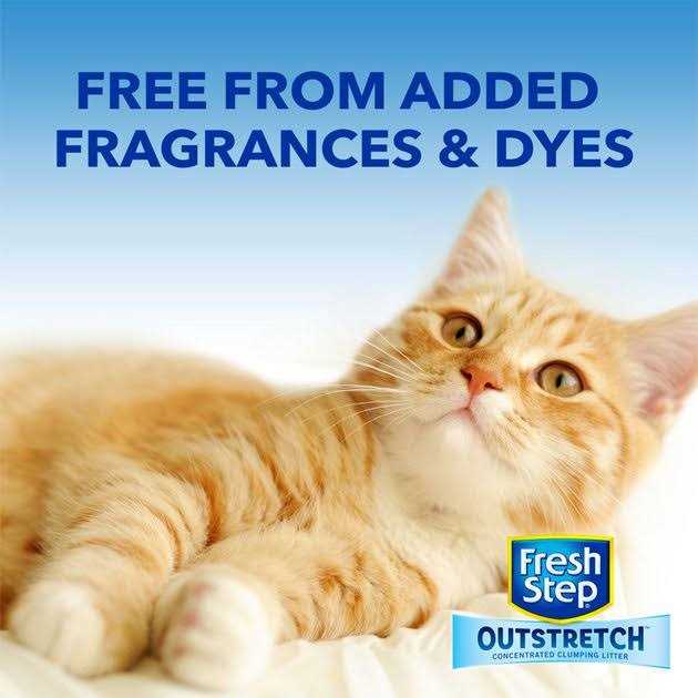 Unscented Clumping Cat Litter H858