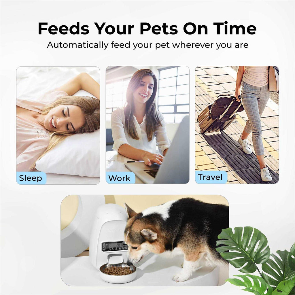 Mini Programmable Automatic Dog & Cat Feeder P7847