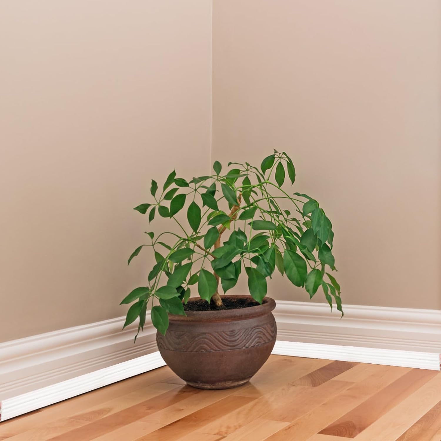 Creamy White 16.4 Ft x 1.5 In Self-Adhesive Wall Molding Trim R891