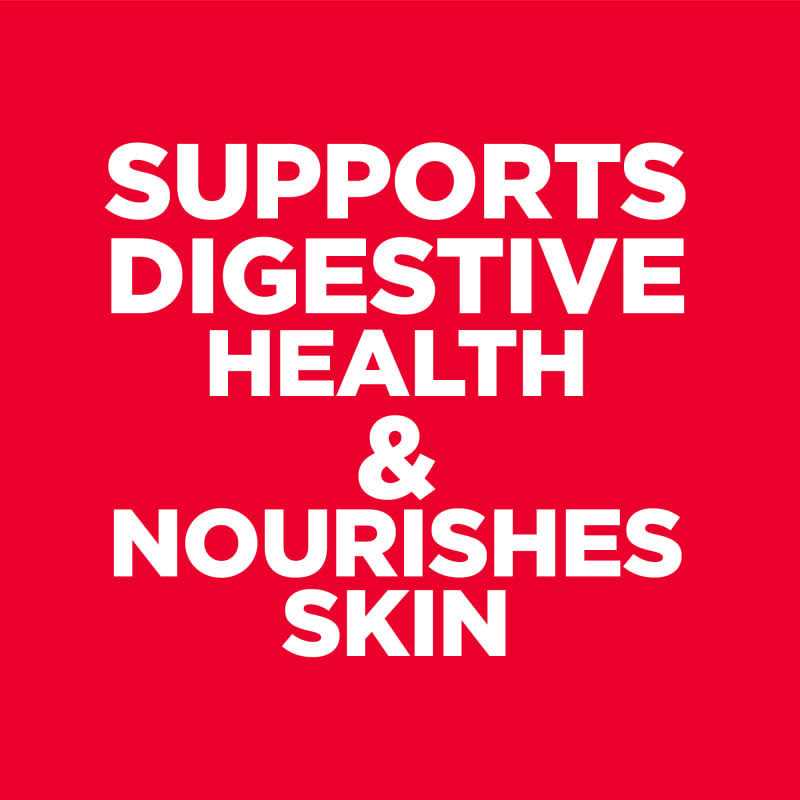 Adult Sensitive Stomach & Skin Dry Dog Food P82184