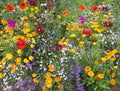 Wildflower Mix I223500