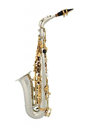 Silver Alto Saxophone with 11 Reeds and Case B565