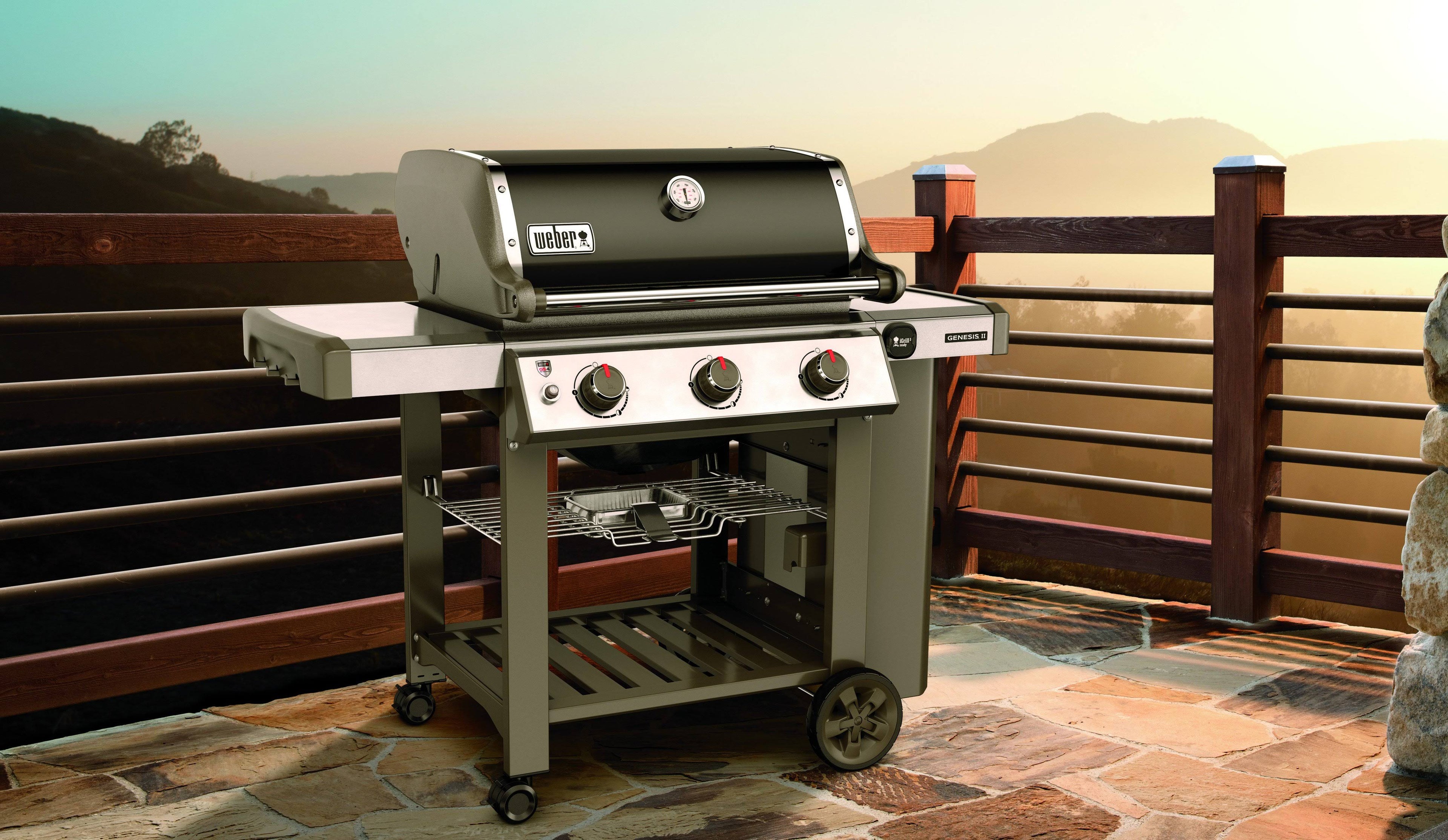 Natural Gas Grill Black D84146