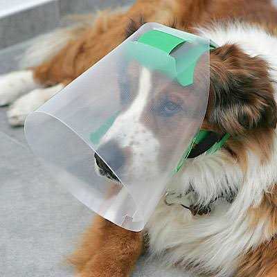 Pet Supplies L715722