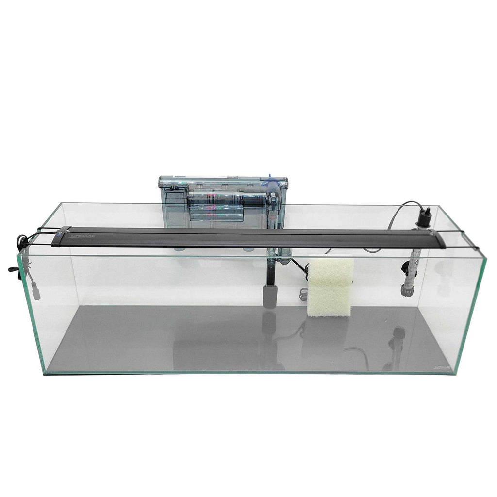 22 Gallon Clear Glass Bookshelf Aquarium F657126