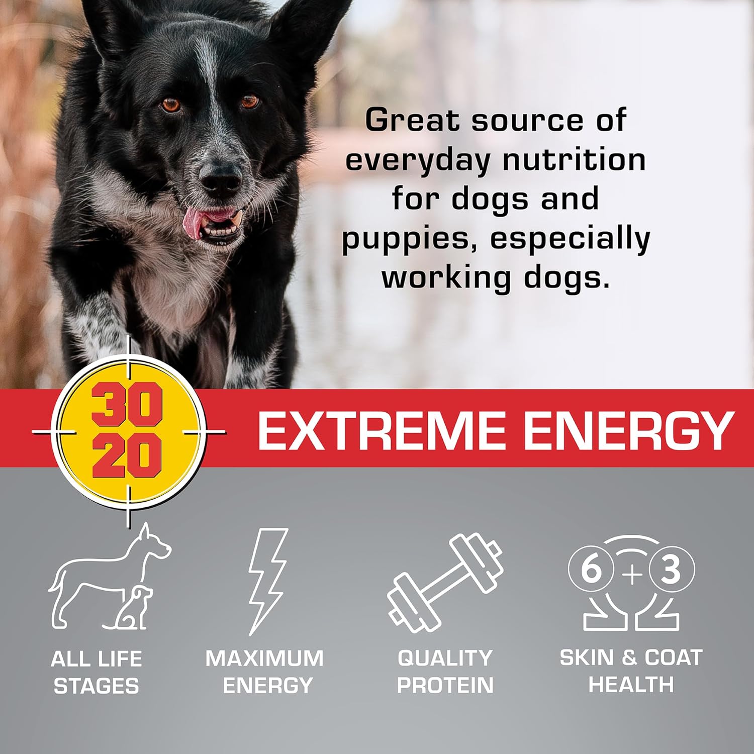 Extreme Energy Dry Dog Food N71917