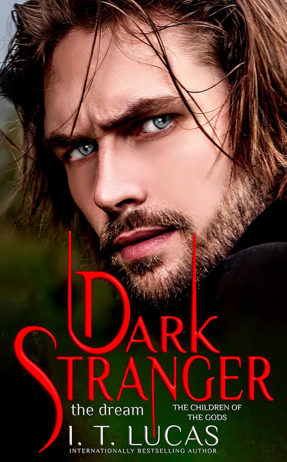 Paranormal Romance Book C13852
