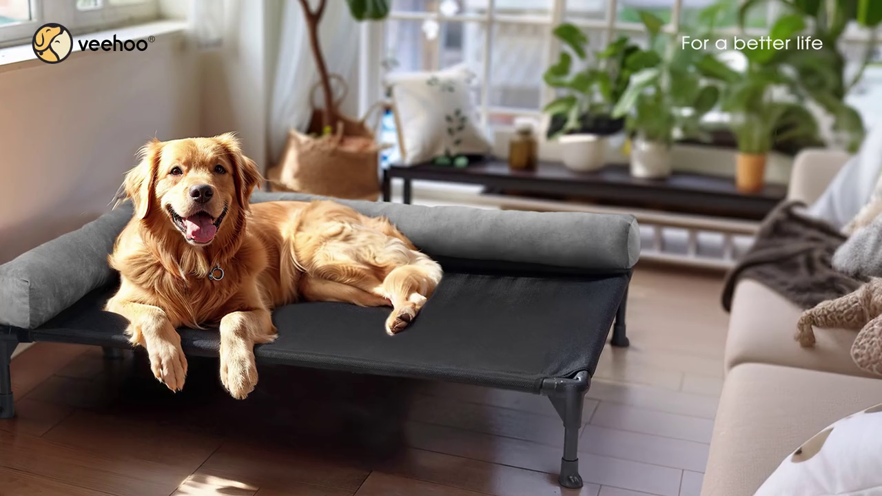 Black Elevated Dog Bed with Removable Bolster B934