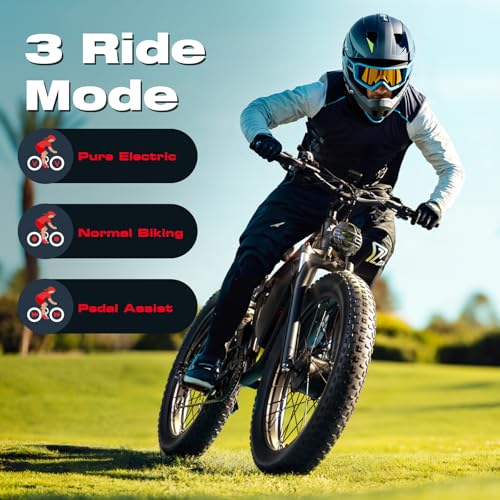 52V 26" Fat Tire Full Suspension Electric Bike C901099
