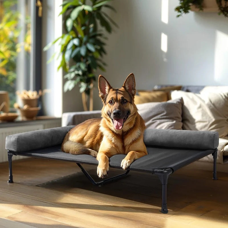 Black Elevated Dog Bed with Removable Bolster B934