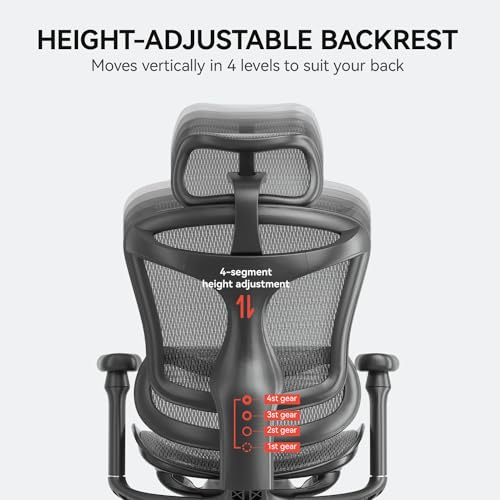 Ergonomic Office Chair with 3D Armrests, Adjustable Backrest, Grey E798