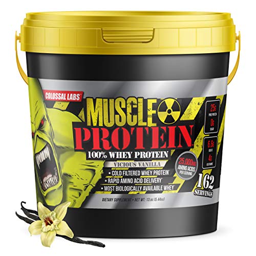 12 lbs Chocolate Whey Protein Powder X76370