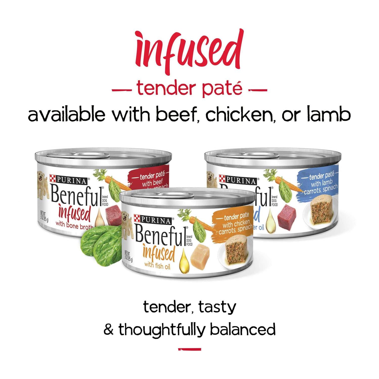 Puppy Chow Complete Dry Food T5964