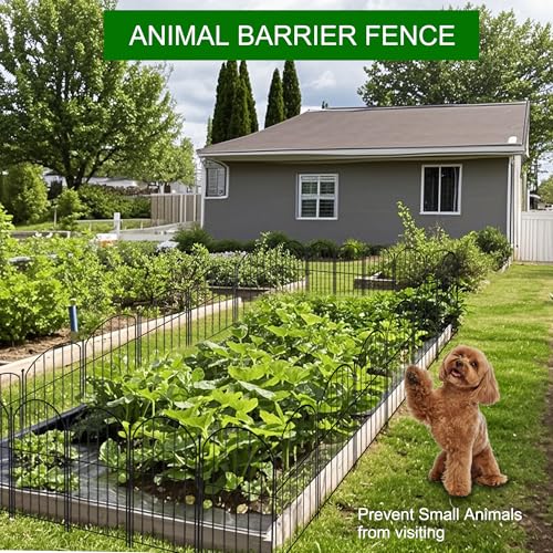 Arched Rustproof Metal Garden Fence Border, 10 Panels, 24 in(H) x 10 ft(L) Y606308