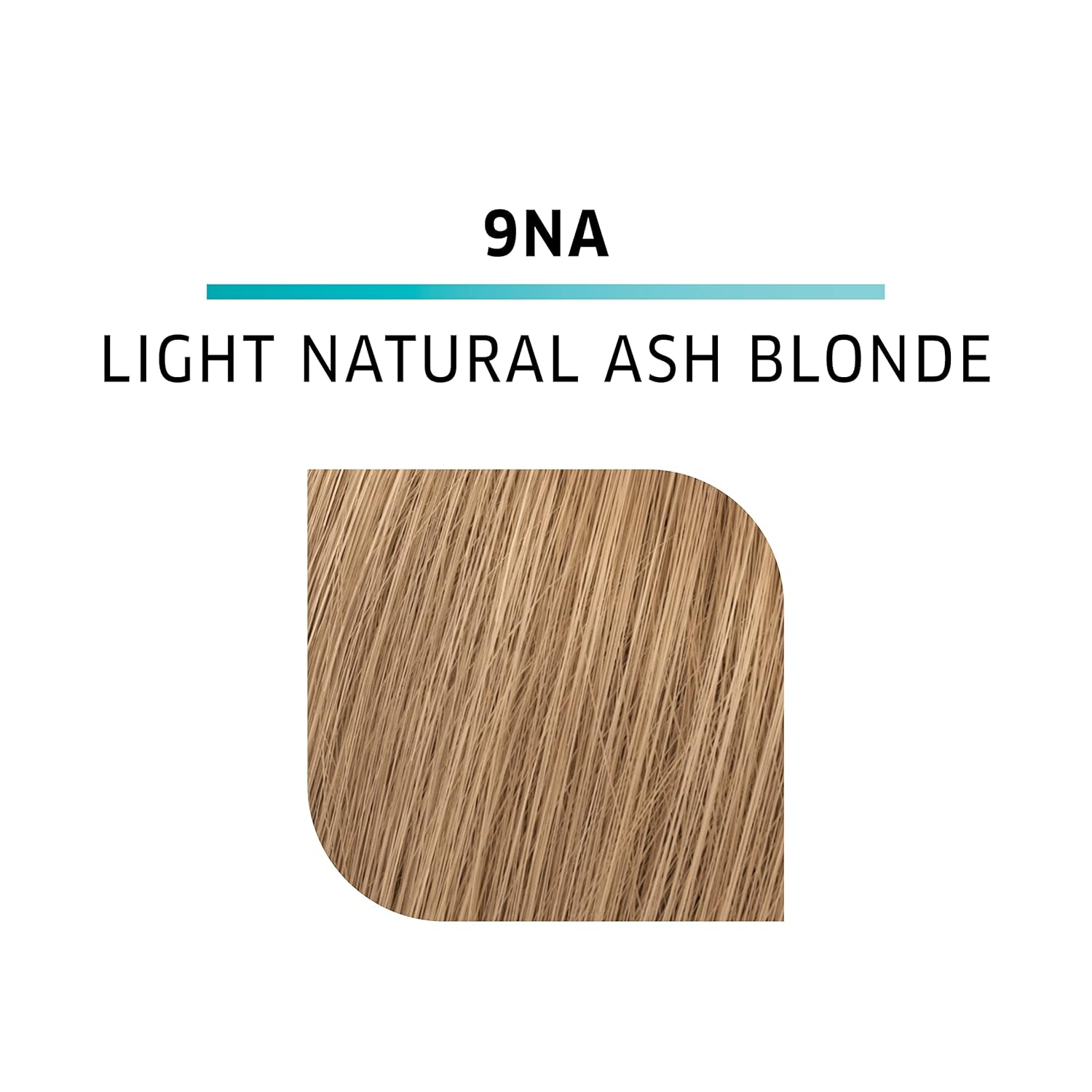 9NA Light Natural Ash Blonde Demi Permanent Hair Color with 10 Vol. Developer Z889