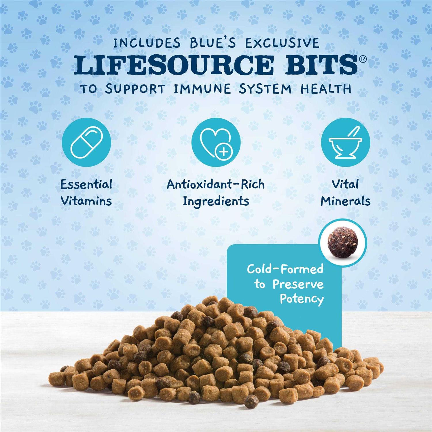 High Protein Natural Dry Kitten Food G479