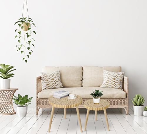 Natural Boho Rattan Coffee Table Set of 2 H7950