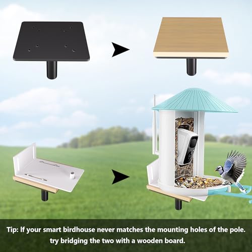 79 Inch Heavy Duty Bird Feeder Pole Kit with 5 Base Prongs W529
