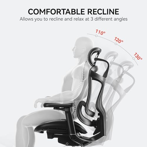 Ergonomic Office Chair with 3D Armrests, Adjustable Backrest, Grey E798